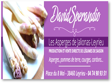 Les asperges de jalionas leyrieu