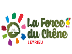 Logo force du chene1 photoroom